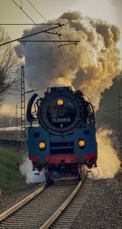 Mit einem lauten Pfiff und dichten, hellen Dampfwolken bahnt sich die 01 der Preßnitztalbahn am frühen Morgen ihren Weg durch Lichtentanne.
