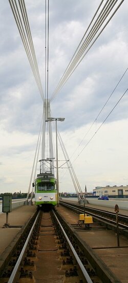 501 kurz vor der Trennstelle Ludwigshafen/Mannheim.