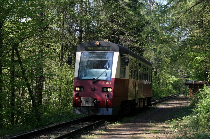 VT 187 019-5 beim passieren des Hp Osterteich auf dem Weg nach Quedlinburg !