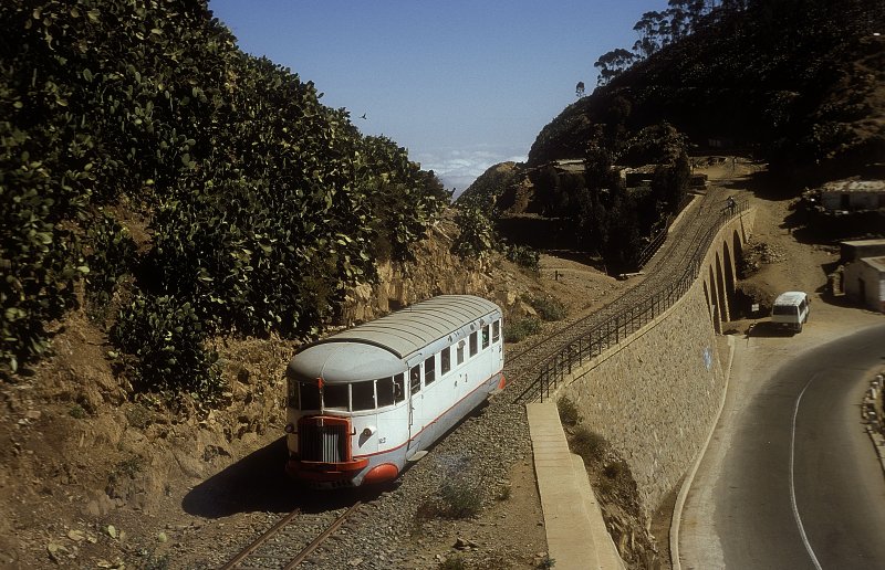 VT 2  Arborobue  07.02.05