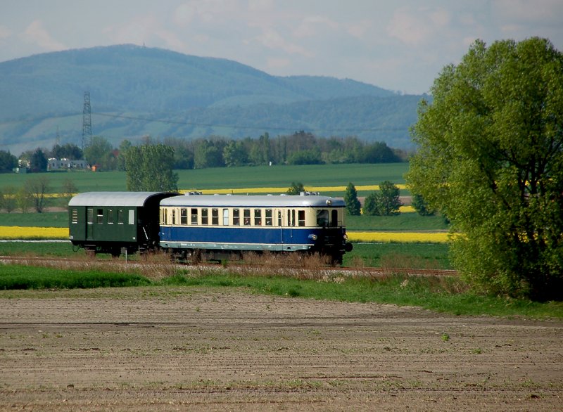 VT 5042.014 als R 16296 (Nostalgiesonderverkehr) von Wien Suedbahnhof Ostseite nach Ernstbrunn, unterwegs im Weinviertel, kurz nach Stetten. Das Foto entstand am 03.05.2008.