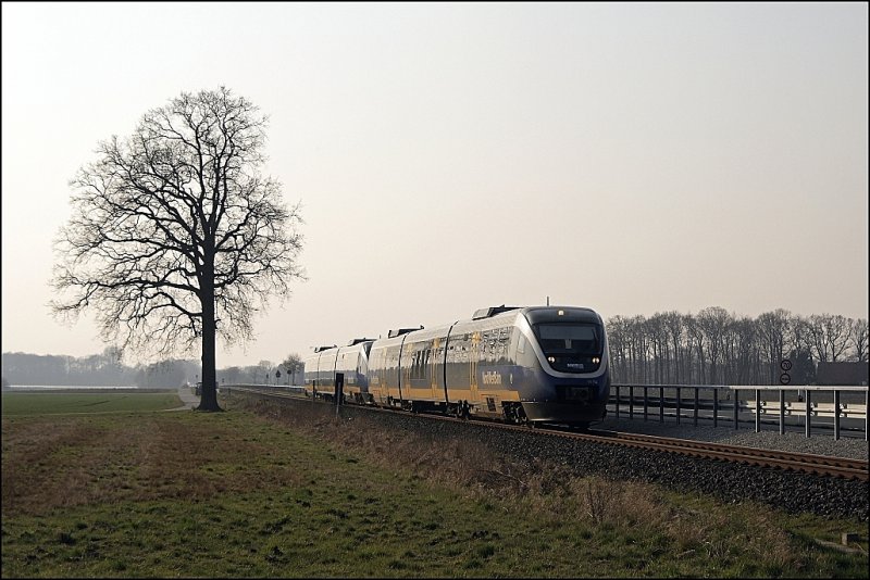 VT712 und VT701 sind als RB67  DER WARENDORFER  nach Bielfeld Hbf unterwegs.
