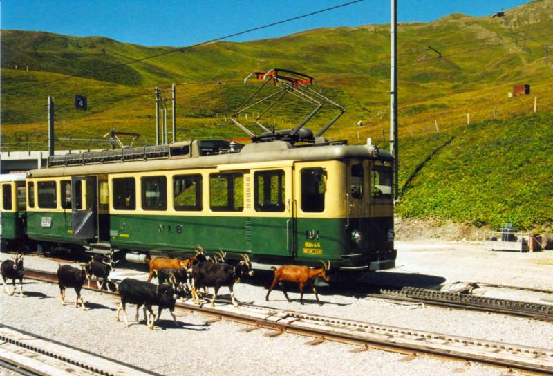 WAB BDeh4/4 101 in Kleine Scheidegg 15-8-2002 