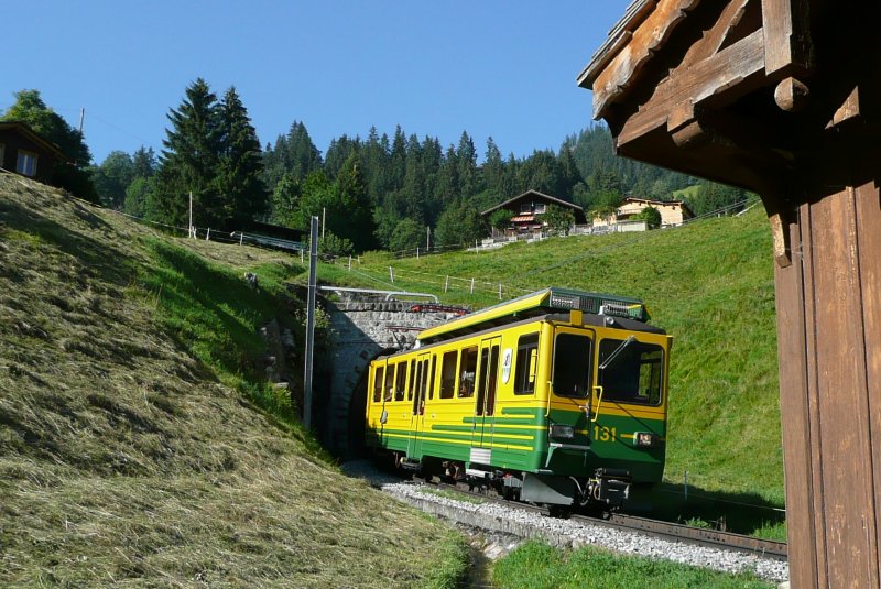 WAB Kehrtunnel Wengwald Talseite. Wengernalpbahn Zahnradbahn Doppeltriebwagen BDhe 4/8 131 verlaesst 180 Grad Kehrtunnel unterhalb Wengwald talwaerts Linie Lauterbrunnen-Kleine Scheidegg.