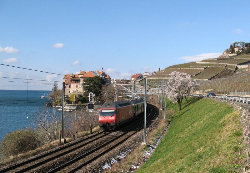 Whrend in Blonay (620 mM) ein Schneesturm tobt, wecken gute acht Kilometer weiter, bei Rivaz (377 mM) bunte Farben Frhlingsgefhle. 
Re 460 mit IR Richtung Genve am 5. Mrz 2008 gegen 11 Uhr. 