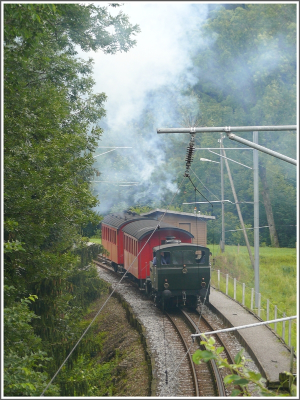 Whrend des Mittagessens im Rest.Windegg berrascht mich der Dampfzug mit der Dampflok Rosa, wie sie an der Haltestelle Wartensee vorbei Richtung Heiden stampft.(18.07.2009)