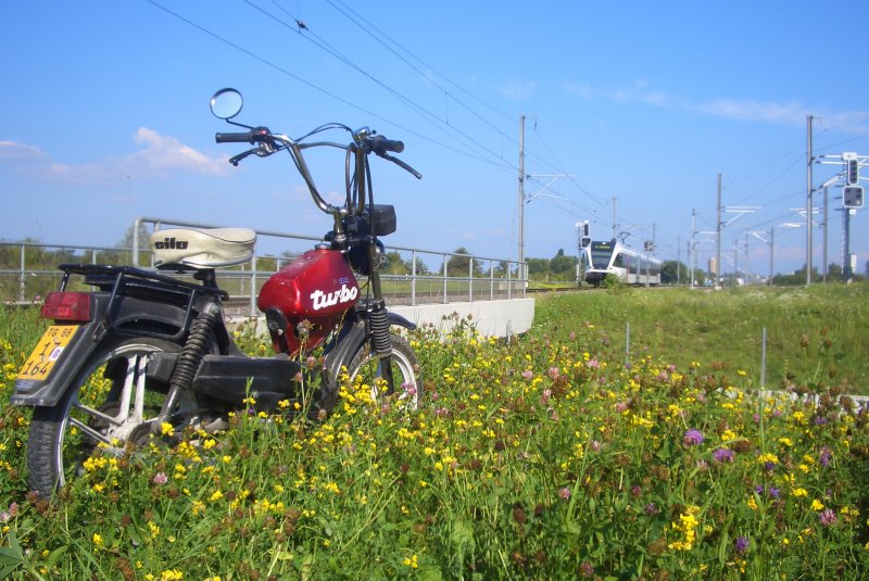 Whrend ein Mofa in der Wiese parkierte, kam ein RABe 526 der Thurbo als S3 vorbei.
Tgerwilen, 06.08.09