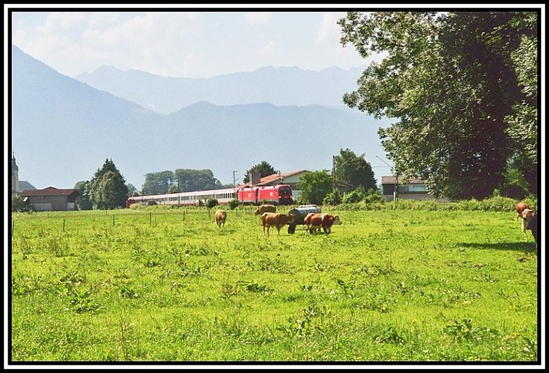 Whrend sich die Khe ber das schne saftige Gras erfreuen, rollt ein 1116ner Tandem mit dem OEC 565  ZUKUNFTSZENTRUM TIROL  von Innsbruck nach Wien Westbahnhof bei Oberaudorf seinem Ziel entgegen.