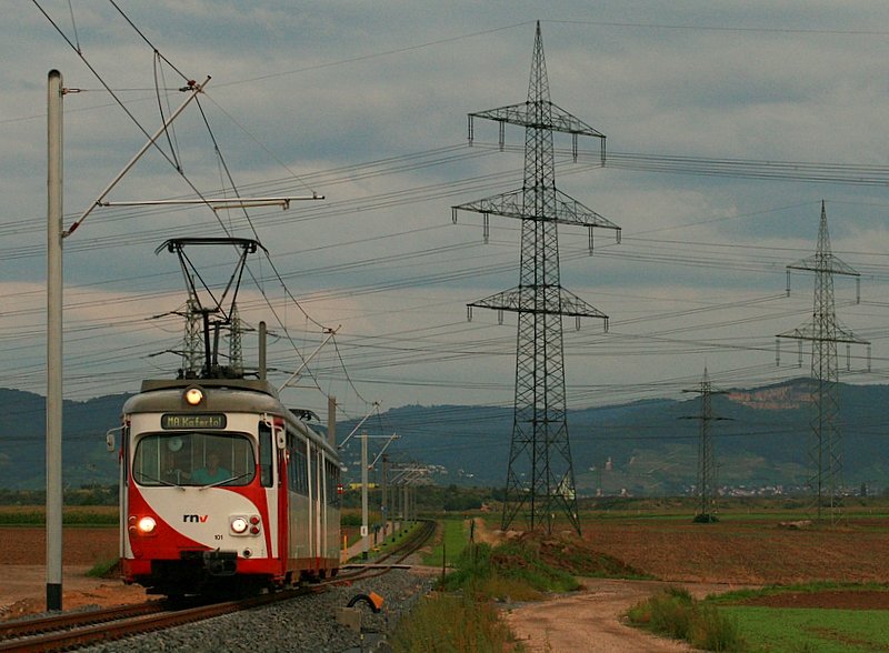 Wagen 101 kurz vor dem Eintritt in den Vorort Wallstadt.
05. September 08