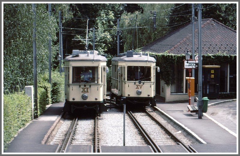 Wagen 11 und 15 der Pstlingbergbahn auf Berg- und Talfahrt. (Archiv 08/2001)