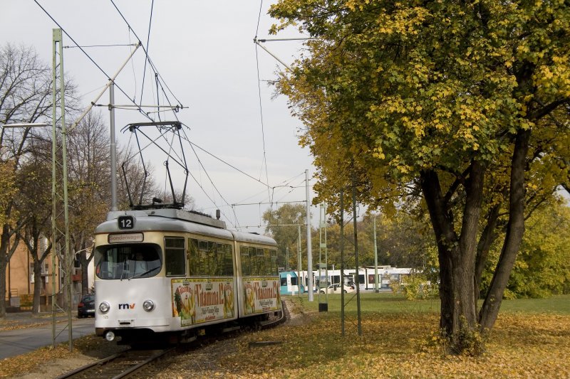 Wagen 125 an der Schleife Oppau.