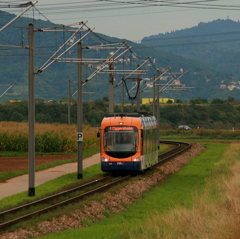 Wagen 142 kurz vor der Einfahrt in den Ortsteil Wallstadt