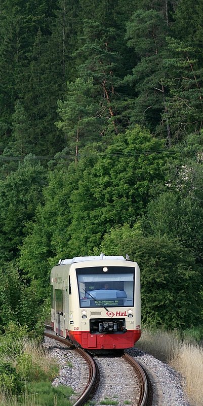 Wagen 250 der HzL am 31. Juli 08 in Geisingen-Leipferdingen.