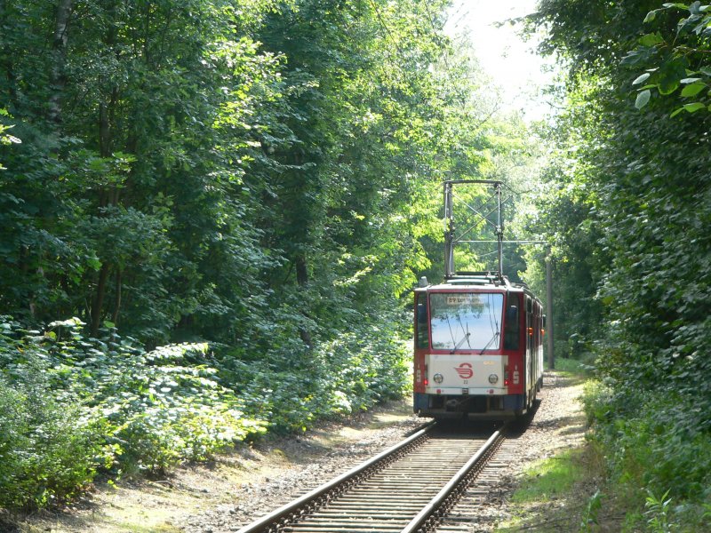 Wagen 33 nach Lustgarten. In Strausberg fahren ziemlich untypische Zweirichtungs-Tatrabahnen. 4.8.2007