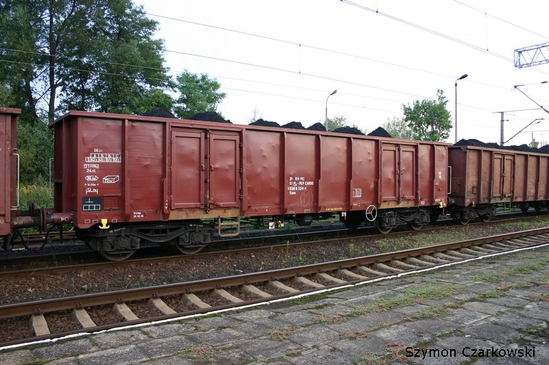 Wagen Eaos der PKP Cargo in Chybie am 18.09.2006