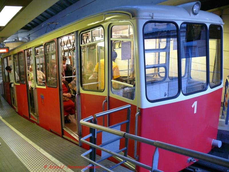 Wagen1 der Standseilbahn von Saint-Jean (wird auch Vieux-Lyon = Lyon-Altstadt genannt) wartet in der Talstation auf die Abfahrt.
Die Wagen dieser Bahn sind in den 1960er-Jahren in der Schweiz von der Firma Gangloff in Bern erbaut worden und bis heute in Betrieb. Um die erheblichen Hhen, die direkt an der Altsstadt von Lyon beginnen, zu berwinden, gibt es bis heute zwei Standseilbahnen. Sie sind Teil des ffentlichen Nahverkehrsnetzes und auch im Metroplan enthalten. Beide beginnen in der Altstadt an der Metrostation Saint-Jean.
08.06.2007 Lyon
