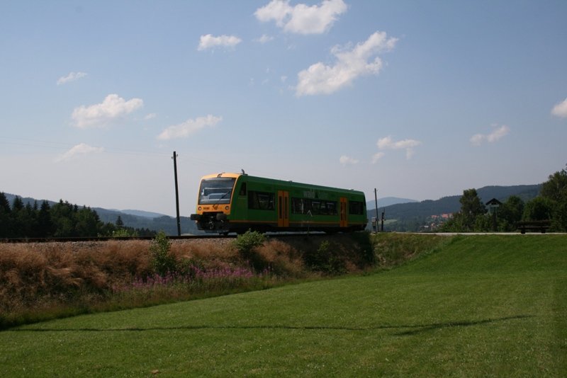 Waldbahn aufgenommen an der Haltestelle Bhmhof am 20.07.2007.