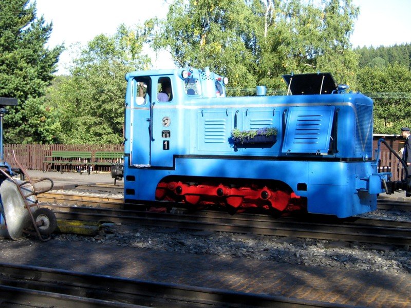 Warum nicht, Blumenksten an dieser V10c in Jhstadt