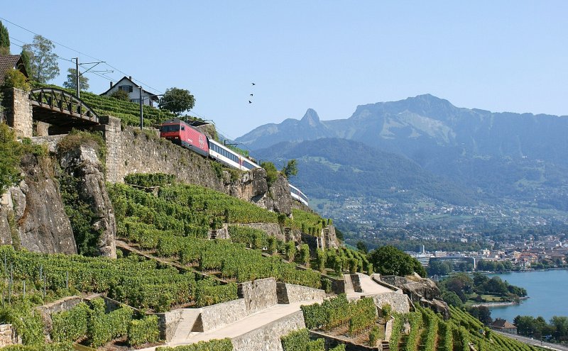 Weichenumbau in Lausanne war der Grund, dass der IR 33529 ab Vevey (statt Genve Aroport) nach Luzern fuhr und somit gleich zu Beginn der Fahrt den landschaftlichen Hhepunkt erreichte: die Fahrt ber die Strecken Vevey - Chexbers - Puidoux (Train des Vignes)
6. Sept. 2009