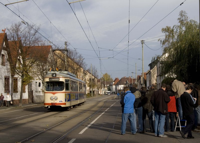  Weitwinkelfuzzis  in Oggersheim.