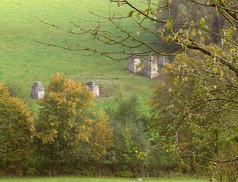 Wenn man die Elterleiner Stra�e in Gr�nhain entlang f�hrt, dann kann man linkerhand die �berreste der G�ckeritzbr�cke entdecken, 03.10.07