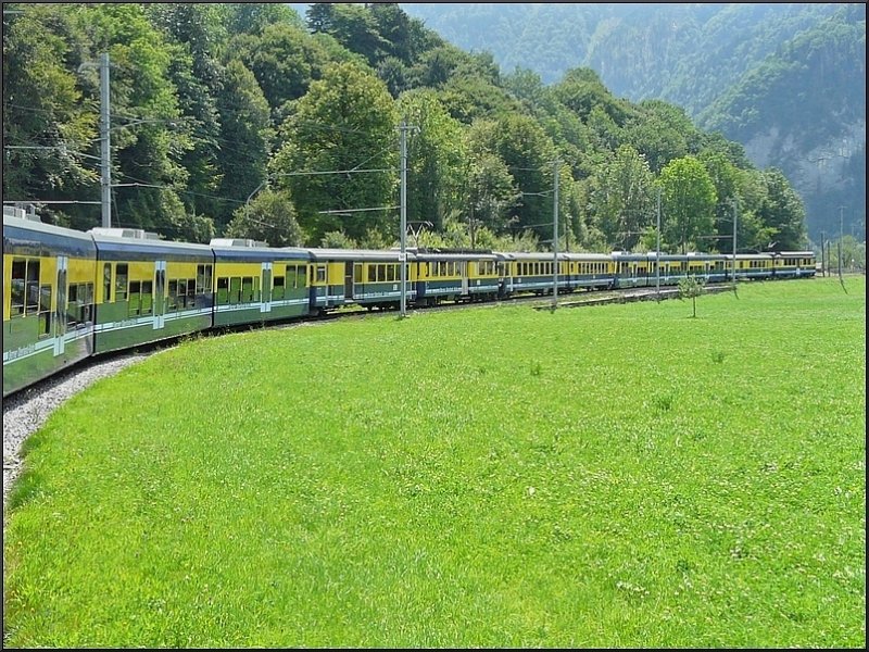 Wie ein langer Wurm in der Landschaft sieht der doppelte Zug der BOB aus auf seiner Fahrt zwischen Zweiltschinen und Wilderswil am 30.07.08. (Jeanny)