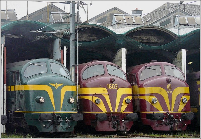 Wie in frheren Zeiten: 3 Rundnasen im Ringschuppen aufgenommen 09.05.09 anlsslich des Festes 150 Jahre Eisenbahn in Luxemburg. (Jeanny) 