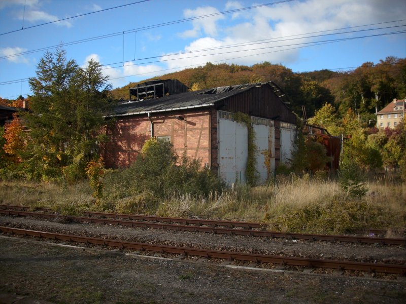 Wie so oft berlt die Bahn nicht mehr genutzte Bahnanlagen ihren Schicksal.So auch den nach einem Brand,im Februar 1997,beschdigten Lokschuppen in Sassnitz,der mehr und mehr zerfllt.Aufnahme am 14.Oktber 2009 vom Bahnsteig aus.