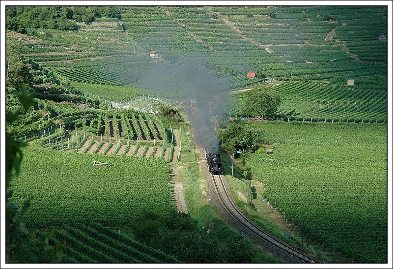 Wir befinden uns bereits in der Wachau. 52.4984 mit ihrem Sonderzug R 16326 kurz vor Weienkirchen in der Wachau am 23.6.2007.