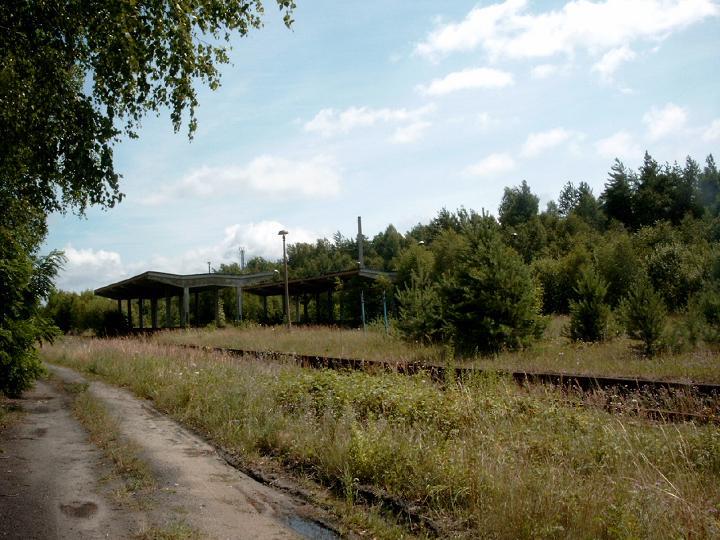 Wo einst 4 berdachte Bahnsteige die Pendler vor Unwetter schtzten ist heute nur noch Wald brig.