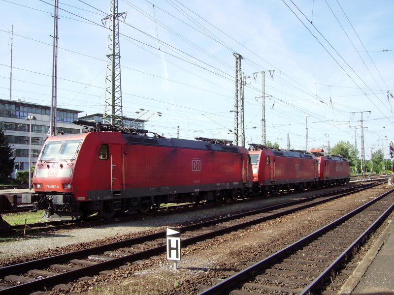 Wochenendruhe in Singen(Htw). 185 087-4 wartet mit 2 Schwesterfahrzeugen auf den nchsten Einsatz. 10.08.08