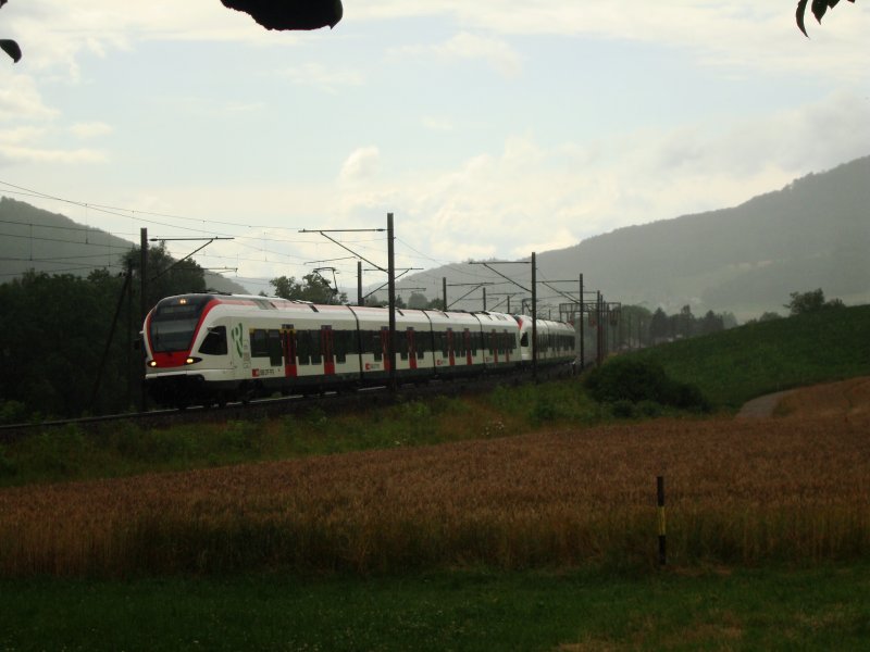 Wolkenbruch am 08.07.2008 zwischen Gelterkinden und Tecknau: Ein RABe 521 Doppelpack als S 3 nach Olten fhrt vorbei.