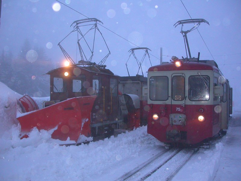 Xrot 91 He 2/2 2 BDeh 2/4 75 Les Pliades 09.03.2009