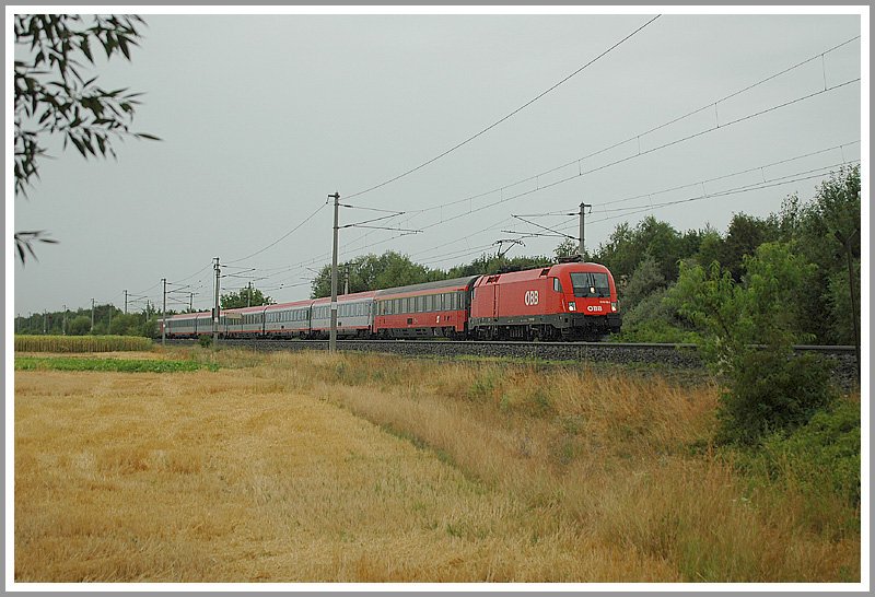 Zu Mittag war das Wetter am 3.8.2006 noch so halbwegs passabel. Zwar schien nicht die Sonne, aber es hat wenigstens noch nicht geregnet. Am Foto ist 1116 136 mit dem wegen Bauarbeiten in Heztendorf �ber die Pottendorfer Linie umgeleiteten IC 534  Naturpark Grebenzen  von Villach nach Wien. Die Aufnahme entstand kurz vor Wampersdorf.
