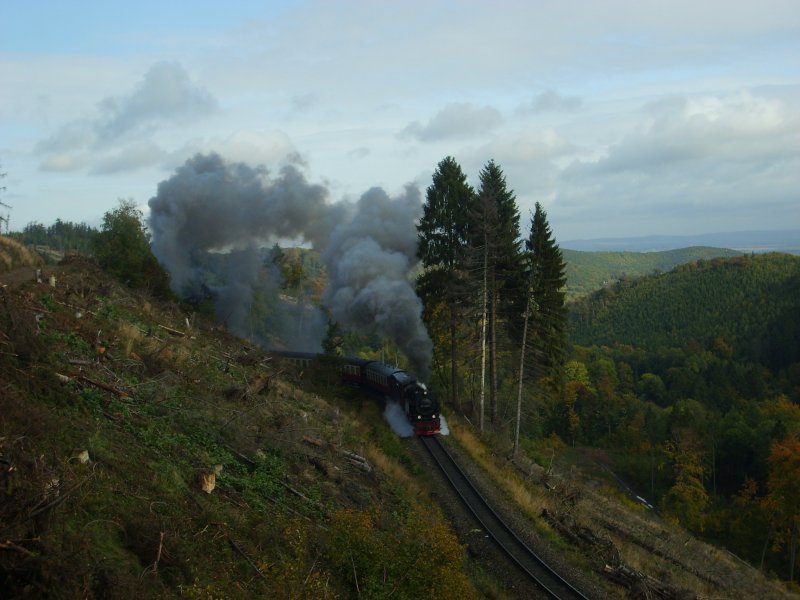Zug 8941 schnaufend aus dem Tunnel kommend fhrt hinauf nach Drei Annen Hohne und weiter zum Brocken. An dieser Stelle entstand scheinbar ein neuer Fotopunkt durch die Rodung des Waldes an jener Stelle. 4.10.2008 11:20