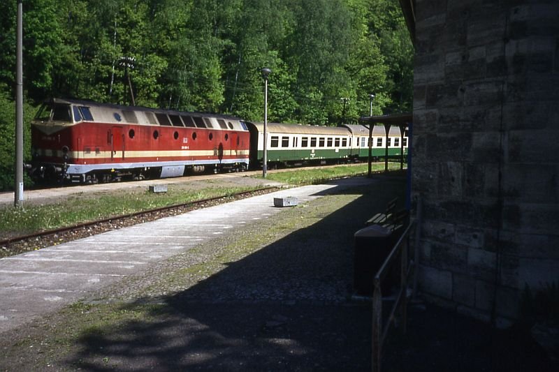 Zug am Bahnhof Schwarzburg.