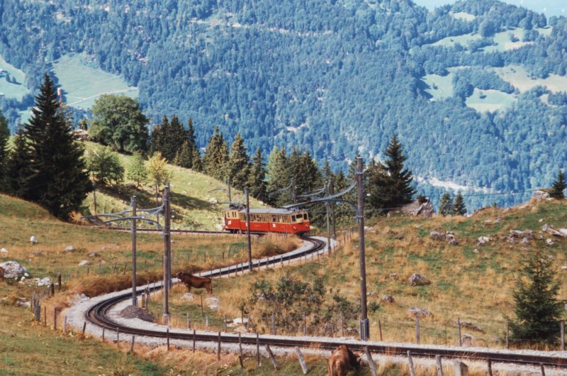 Zug der Shynige Platte Bahn auf der Fahrt nach Wilderswil am 12.9.1993.
