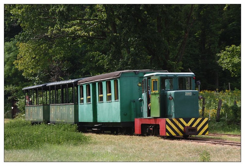 Zug der Waldbahn Mesztegny am Endpunkt Felskak, aufgenommen am 31.07.2009