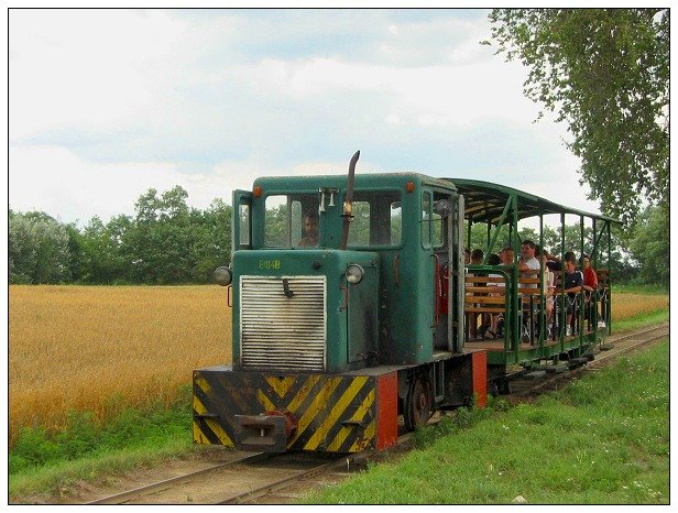 Zug der Waldbahn Mesztegny kurz vor dem Erreichen des Sgewerks in Mesztegny. Der Zug verkehrt nur freitags, auch hier sind die in ganz Ungarn bekannten C50 Schienentraktoren im Einsatz. Aufgenommen im August 2003.