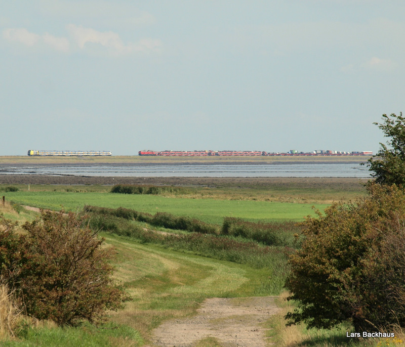 Zugbegegnung auf dem Hindenburgdamm: Links ist die NOB 80539 aus Westerland/Sylt zu sehen und rechts der Syltshuttle aus Niebll. Aufgenommen am 6.08.09 bei Morsum.