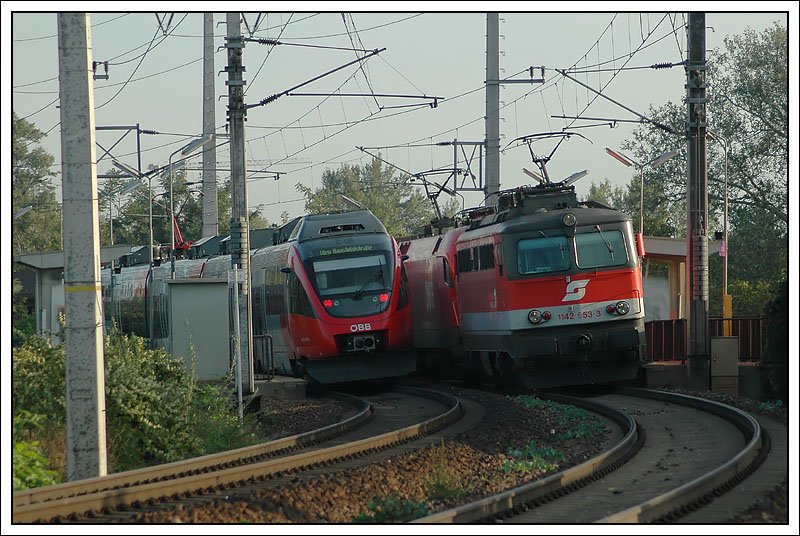 Zugbegegnung in der Wiener Lobau am 16.9.2007. S 80 auf dem Weg nach Wien Hausfelstrae kreuzt mit einem GZ, der vermtlich Richung Wien ZVB unterwegs ist.