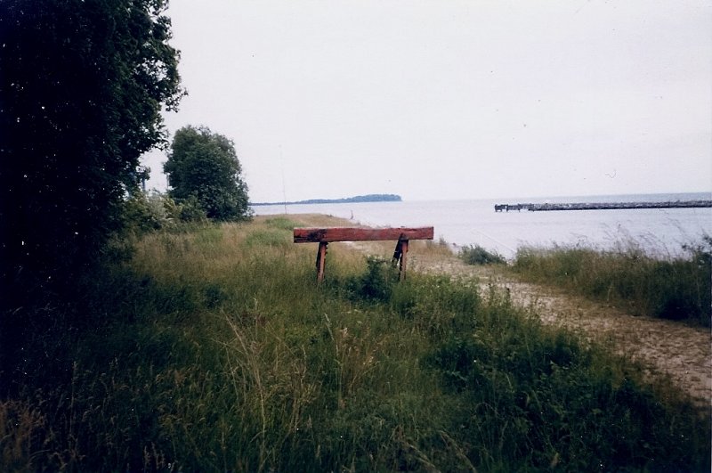 Zugewachsenes Gleisende in Lauterbach Mole wenige Meter vor dem Greifswalder Bodden im Juni 1998.