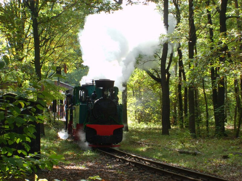 Zum Jubilum 20 jahre Dampf in der Wuhheide fuhr ein Zug mit den beiden Dampfloks Lowa und Luise als Doppelbespannung
6.10.07 13:00