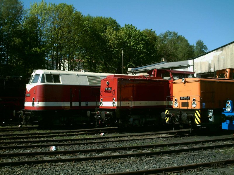 Zur Erffnung der Maschinenhaustage im Mai 2008 hat die Dieselfraktion in Lbau Aufstellung genommen