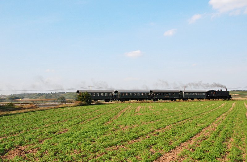 Zurck von Gro Engersdorf gehts wieder Richtung Gro Schweinbarth und ber Prottes und Gnserndorf nach Wien Sdbahnhof (Ostseite). R 16542, am 20.09.2009, durch die Weiten des Weinviertels.