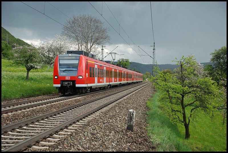 Zwei 425er sind unterwegs nach Stuttgart Hbf. Aufgenommen zwischen Kuchen und Gingen(Fils) am 01.Mai 2008..