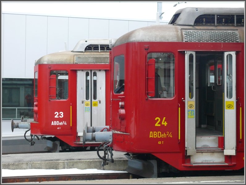 Zwei Gesichter, nur farblich etwas verschieden, in Heiden. (04.12.2008)