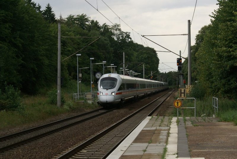 Zwei ICE-T`s durchqueren am 18.07.2007 den Sachsenwald bei Friedrichsruh. 