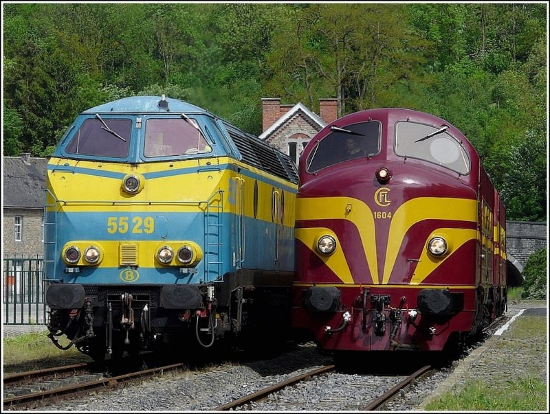 Zwei Loklegenden im Vergleich, wobei die runden Formen der 1604 mit den eckigeren Formen der 5529 konkurierren. Spontin am 16.05.09. (Jeanny)