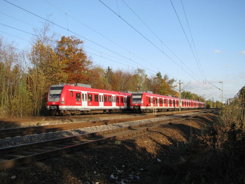 Zwei Quitschies begegnen sich am 20.10.2008 in Haar (bei M�nchen).